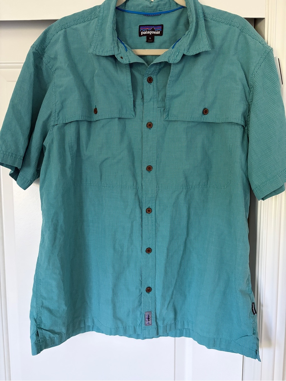Patagonia Men’s Short-Sleeve Button-Down Shirt - Teal Green